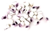 Fine 100 g Sneglehuse. Hvid / violette. Måler ca.1 til 3 cm.